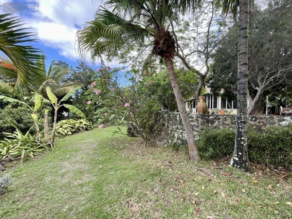 Maison à vendre à Saint-Paul à la Réunion (97460), ref : 97409-280