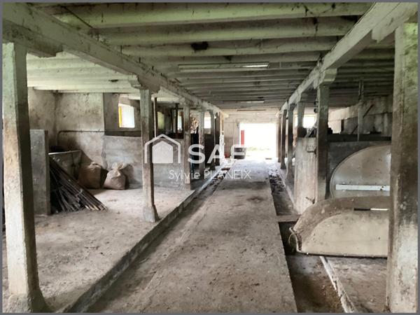 Magnifique ensemble immobilier avec grange, cave, étable, atelier, terrain agricole à Flayat !