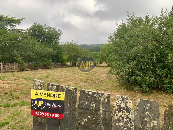Vente terrain Guenouvry : 25 500 € - AJP By Marie