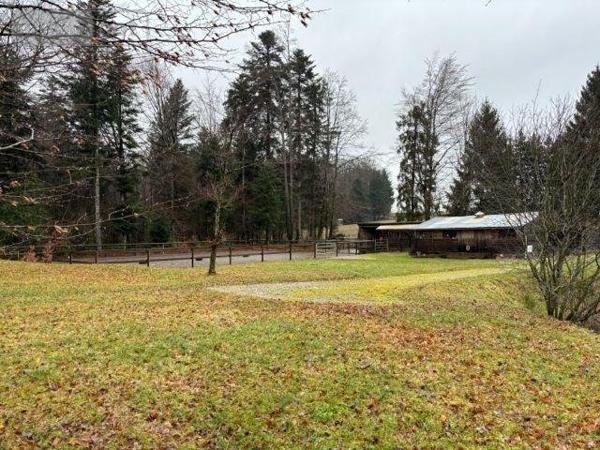 Ferme à vendre à Le Val-d'Ajol dans les Vosges (88340), ref : 14815/202600223