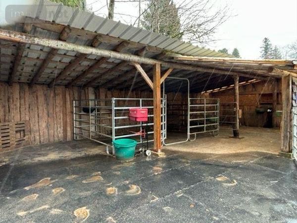 Ferme à vendre à Le Val-d'Ajol dans les Vosges (88340), ref : 14815/202600223