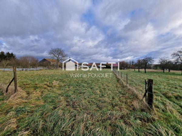 Situé à Vaudoncourt bel ensemble immobilier de caractère avec dépendances sur grand terrain