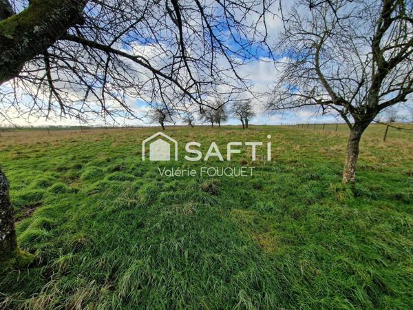 Situé à Vaudoncourt bel ensemble immobilier de caractère avec dépendances sur grand terrain