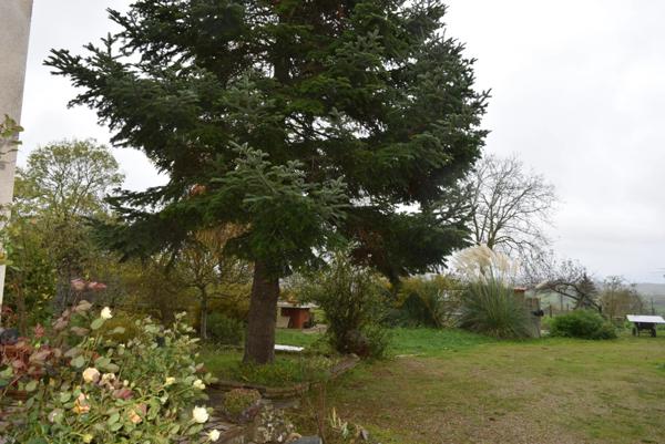 Immobilier Iguerande (71340) – Maison 150m2 – 159 000 €