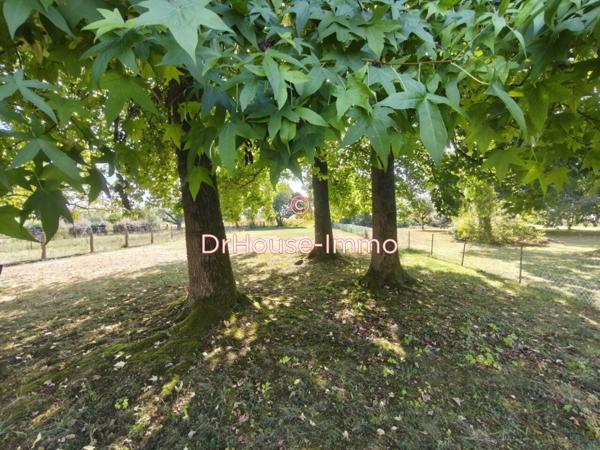 Terrain à vendre de 990 m²