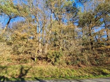 Terrain de loisirs - Bois - Etang à vendre à Trédion dans le Morbihan (56250), ref : 56056-1090763