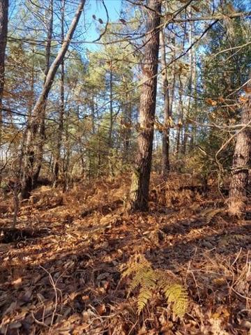 Terrain de loisirs - Bois - Etang à vendre à Trédion dans le Morbihan (56250), ref : 56056-1090763