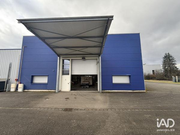 Location hangar 527 m² Sélestat