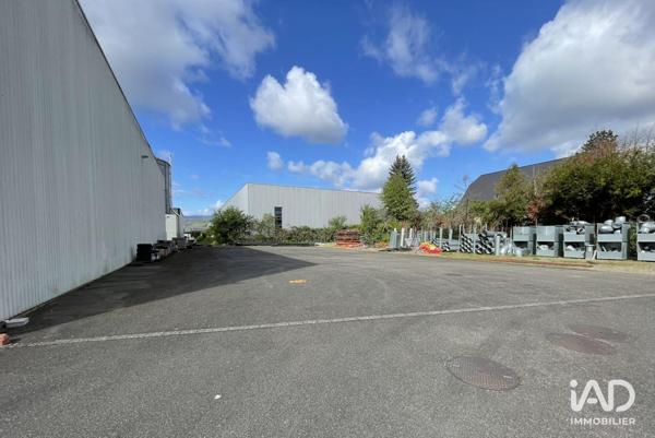 Location hangar 527 m² Sélestat