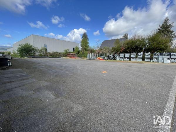 Location hangar 527 m² Sélestat