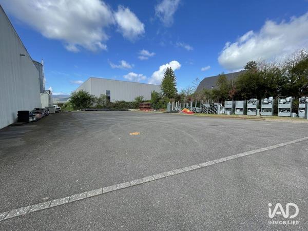 Location hangar 527 m² Sélestat