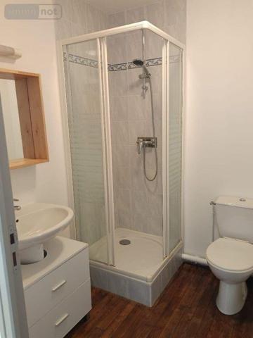 Appartement rénové à louer à Troyes dans l'Aube (10000), ref : 10376/1244   
Centre ville