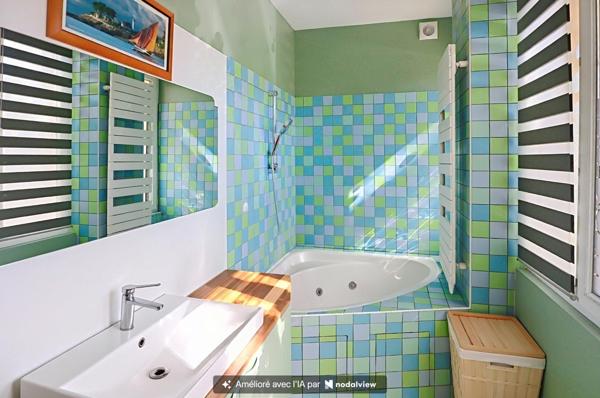 Saint Maur Bords de Marne,  loft de 100 M² avec jardin et terrasses