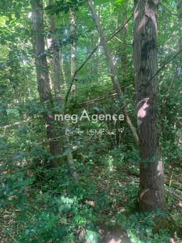 Terrain à BAUGE-EN-ANJOU, 49150 - 5550m²