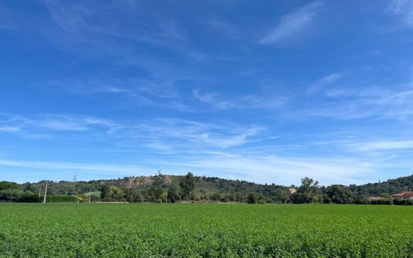 Maison à vendre    5 pièces • 120 m2 Noé