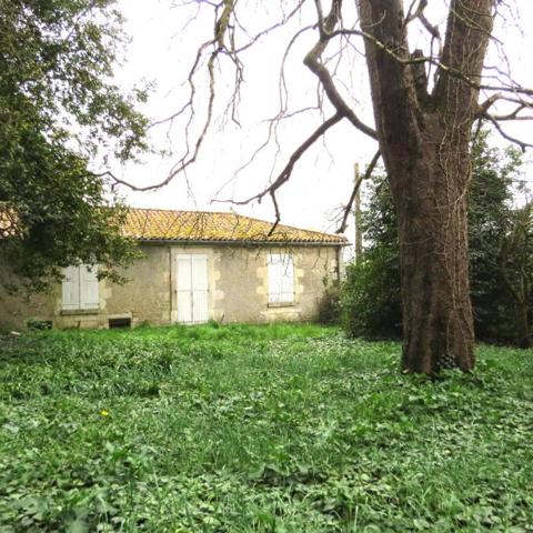 Maison de famille Atypique et pleine de charme