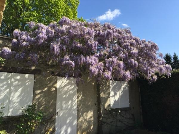 Maison 9 pièces - 310 m²