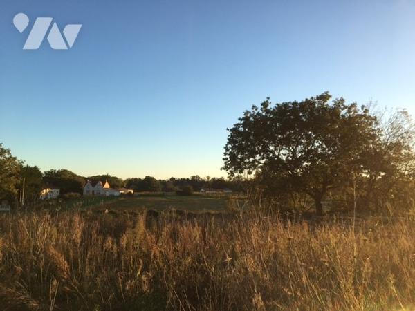 TAB 422m² avec SDP 200m² au coeur du bourg de LA HAIE-FOUASSIERE.