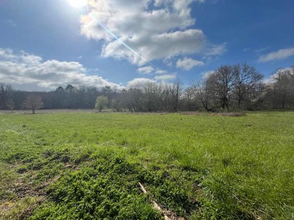 Terrain Paussac Et Saint Vivien 2543 m2