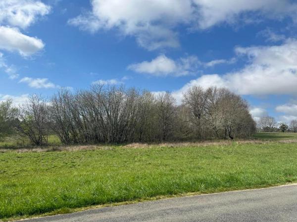 Terrain Paussac Et Saint Vivien 2543 m2