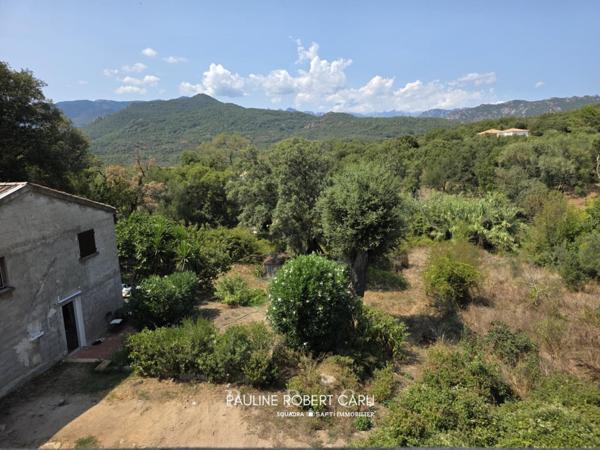 Opportunité à Lecci: Ensemble immobilier à rénover