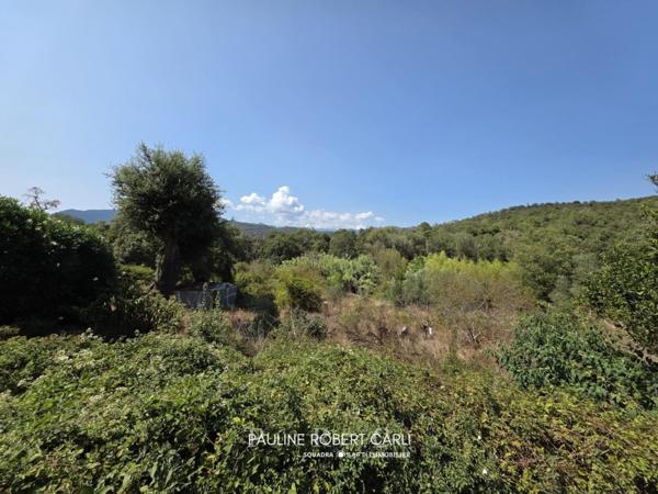 Opportunité à Lecci: Ensemble immobilier à rénover