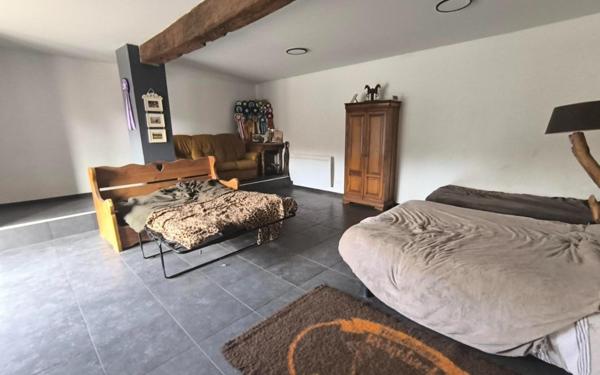 IDEAL CHEVAUX ou CHIENS. CALME, SANS NUISANCE