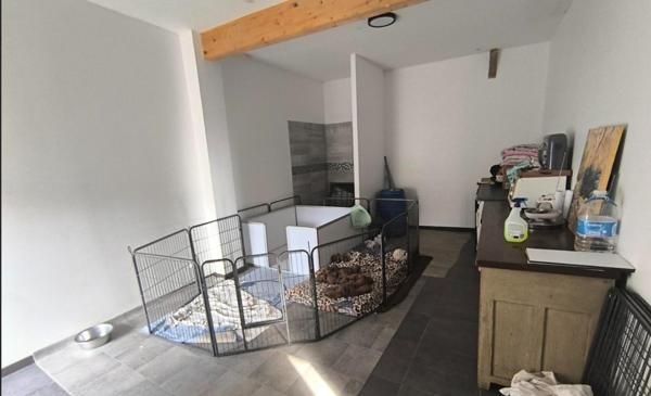 IDEAL CHEVAUX ou CHIENS. CALME, SANS NUISANCE