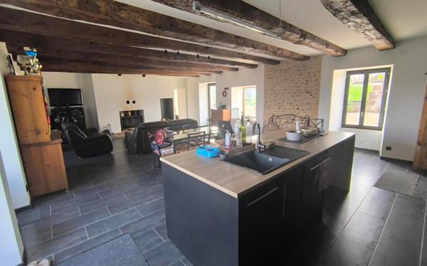 IDEAL CHEVAUX ou CHIENS. CALME, SANS NUISANCE