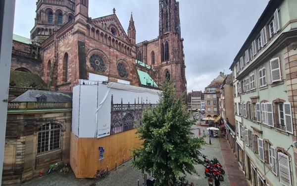 Appartement à louer    1 pièce •  Strasbourg