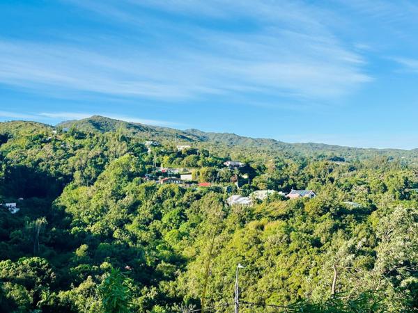 Terrain d'environ 2100m² constructible avec batisse de plan pied à réhabiliter de 137 m² ·  La Montagne 97417  · pK11