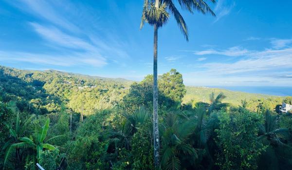 Terrain d'environ 2100m² constructible avec batisse de plan pied à réhabiliter de 137 m² ·  La Montagne 97417  · pK11