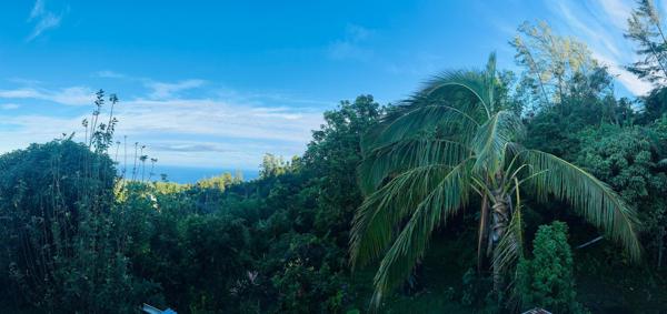 Terrain d'environ 2100m² constructible avec batisse de plan pied à réhabiliter de 137 m² ·  La Montagne 97417  · pK11