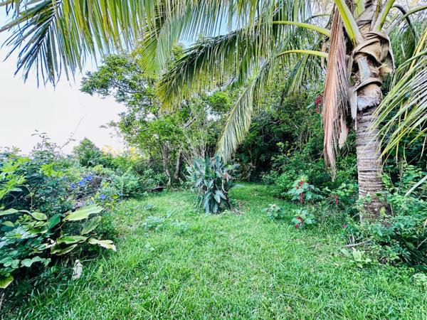 Terrain d'environ 2100m² constructible avec batisse de plan pied à réhabiliter de 137 m² ·  La Montagne 97417  · pK11