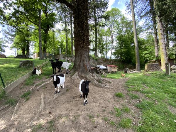 Maison 9 pièces - 235 m² Exclusivité efficity