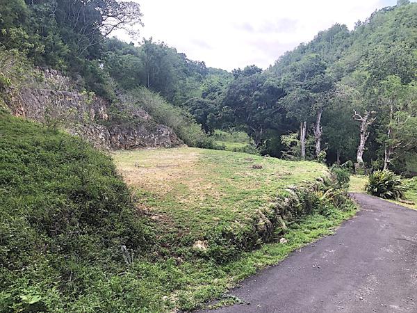 Gosier (97190) Terrain exceptionnel en pleine nature