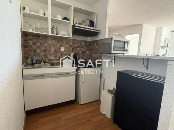 Proche du Seaquarium et des plages du Grau-du-Roi, découvrez cet appartement idéalement situé.