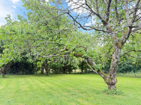 Maison familiale avec grand sous-sol, jardin arboré et vue dégagée – Proche Pont-de-Vaux