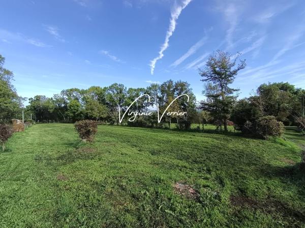 Terrain à vendre de 1 234 m²