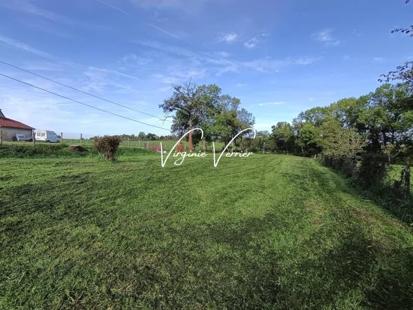 Terrain à vendre de 1 234 m²