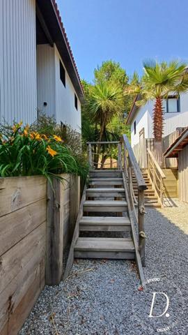 VILLA + MAISON SUR LA COTE LANDAISE