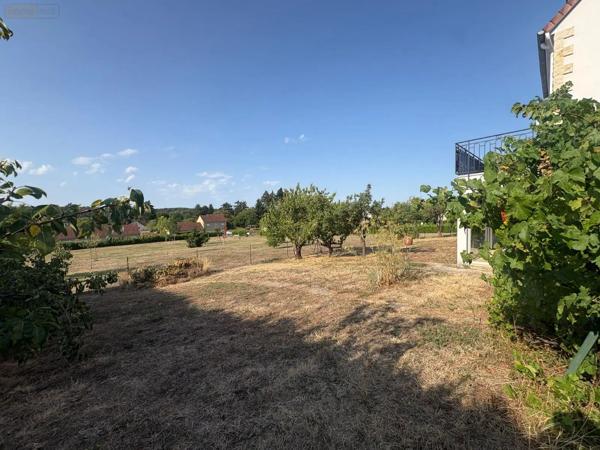 Achat - Maison | Pavillon Saint-Gaultier 36800 5 pièces 173 m 2 994 m 2