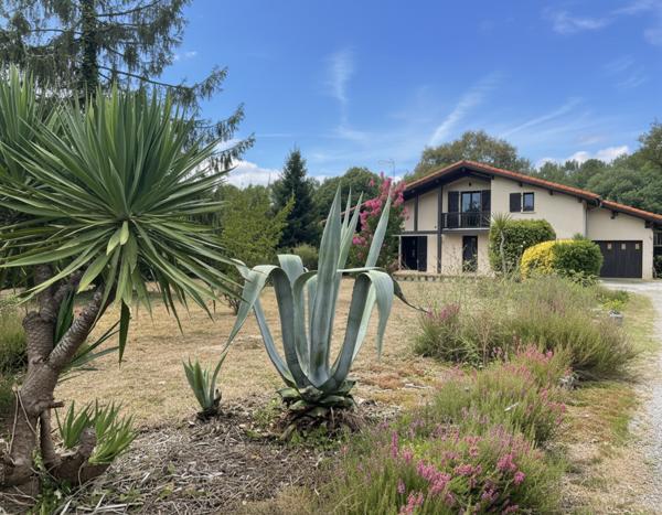 Landaise rénovée 121 m² sur terrain 2 000 m²