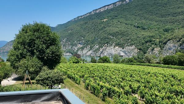 Brison-Saint-Innocent (en Savoie)– Villa contemporaine