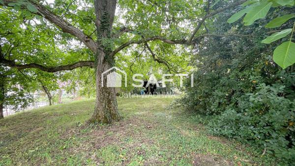 Terrain constructible arboré, calme et potentiel.