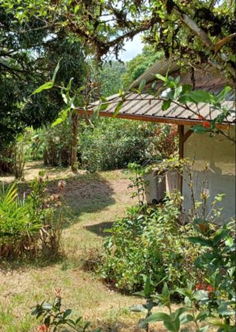 Maison de caractère à étage à vendre 7 pièces MATOURY-STOUPAN 97351