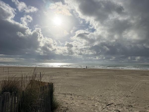 Vente / Appartement T1