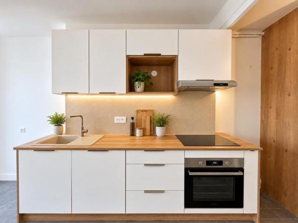 Location / Appartement T3 à Annecy (74000)