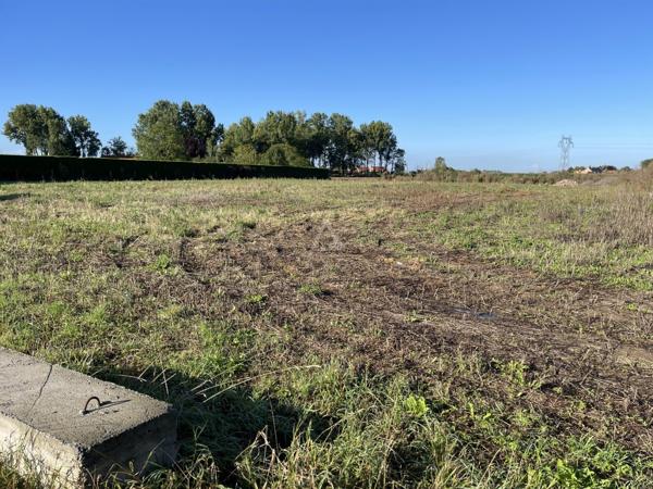 Terrain commercial de 2500 m² situé en ZI