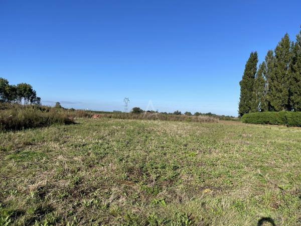 Terrain commercial de 2500 m² situé en ZI